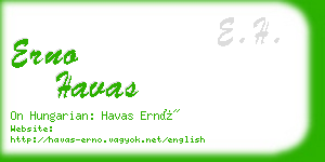 erno havas business card